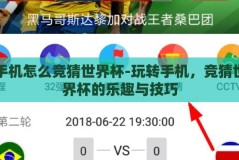 手机怎么竞猜世界杯-玩转手机，竞猜世界杯的乐趣与技巧