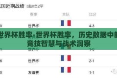 世界杯胜率-世界杯胜率，历史数据中的竞技智慧与战术洞察