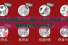 世界杯竞猜虽fc3典tv-世界杯竞猜，足球盛宴的智慧与乐趣