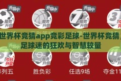 世界杯竞猜app竞彩足球-世界杯竞猜，足球迷的狂欢与智慧较量