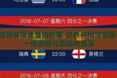 世界杯投注竞猜在哪-世界杯投注竞猜，一场激情与策略的盛宴