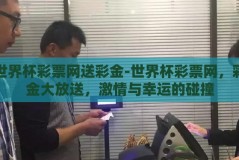 世界杯彩票网送彩金-世界杯彩票网，彩金大放送，激情与幸运的碰撞