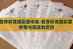 世界杯竞猜彩票中奖-世界杯竞猜彩票，梦想与现实的交织