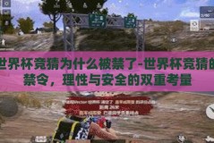 世界杯竞猜为什么被禁了-世界杯竞猜的禁令，理性与安全的双重考量