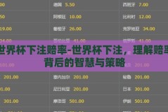 世界杯下注赔率-世界杯下注，理解赔率背后的智慧与策略
