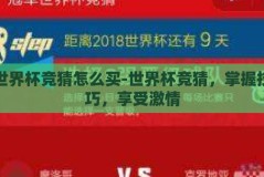 世界杯竞猜怎么买-世界杯竞猜，掌握技巧，享受激情