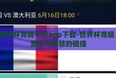 世界杯竞猜平台app下载-世界杯竞猜，激情与智慧的碰撞