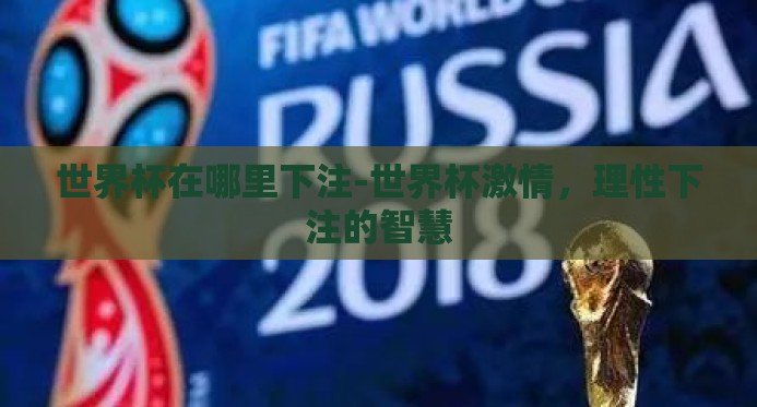 世界杯在哪里下注-世界杯激情，理性下注的智慧