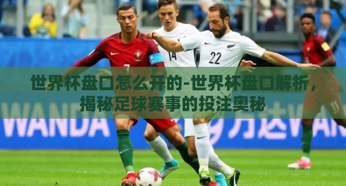 世界杯盘口怎么开的-世界杯盘口解析，揭秘足球赛事的投注奥秘