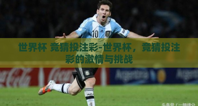 世界杯 竞猜投注彩-世界杯，竞猜投注彩的激情与挑战