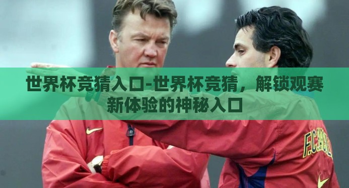 世界杯竞猜入口-世界杯竞猜，解锁观赛新体验的神秘入口
