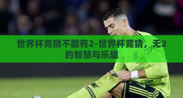 世界杯竞猜不能有2-世界杯竞猜，无2的智慧与乐趣