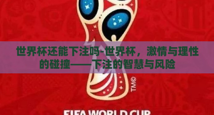 世界杯还能下注吗-世界杯，激情与理性的碰撞——下注的智慧与风险