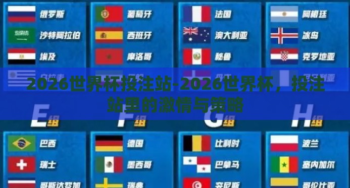 2026世界杯投注站-2026世界杯，投注站里的激情与策略