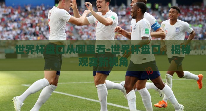世界杯盘口从哪里看-世界杯盘口,揭秘观赛新视角 世界杯盘口从哪里看-世界杯盘口,揭秘观赛新视角
