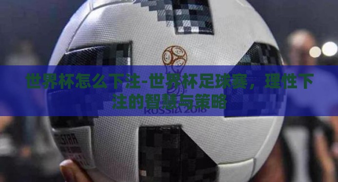 世界杯怎么下注-世界杯足球赛,理性下注的智慧与策略 世界杯怎么下注-世界杯足球赛,理性下注的智慧与策略