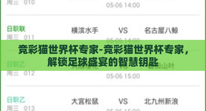 竞彩猫世界杯专家-竞彩猫世界杯专家，解锁足球盛宴的智慧钥匙