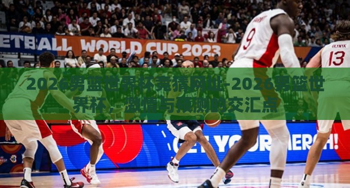 2026男篮世界杯竞猜网址-2026男篮世界杯，激情与预测的交汇点