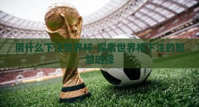 用什么下注世界杯-探索世界杯下注的智慧选择 用什么下注世界杯-探索世界杯下注的智慧选择