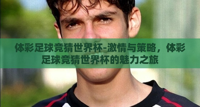 体彩足球竞猜世界杯-激情与策略,体彩足球竞猜世界杯的魅力之旅 体彩足球竞猜世界杯-激情与策略,体彩足球竞猜世界杯的魅力之旅