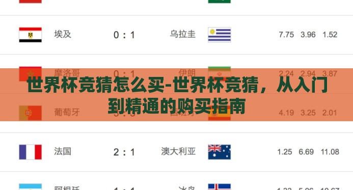 世界杯竞猜怎么买-世界杯竞猜，从入门到精通的购买指南