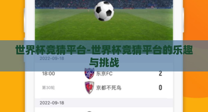 世界杯竞猜平台-世界杯竞猜平台的乐趣与挑战