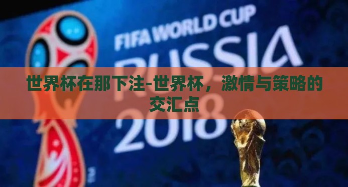 世界杯在那下注-世界杯，激情与策略的交汇点