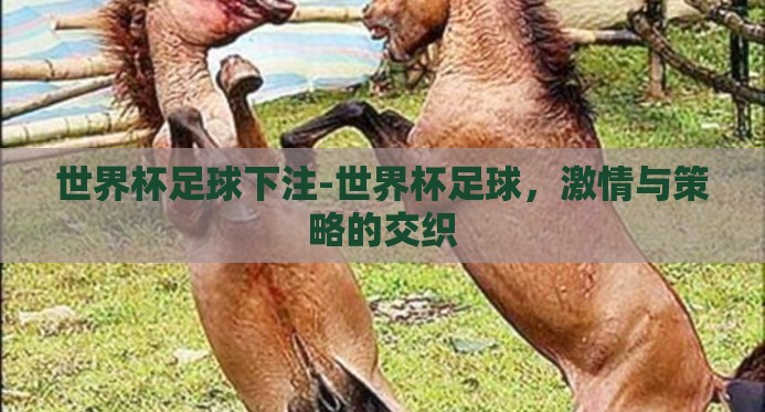 世界杯足球下注-世界杯足球，激情与策略的交织