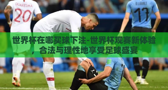 世界杯在哪买球下注-世界杯观赛新体验,合法与理性地享受足球盛宴 世界杯在哪买球下注-世界杯观赛新体验,合法与理性地享受足球盛宴