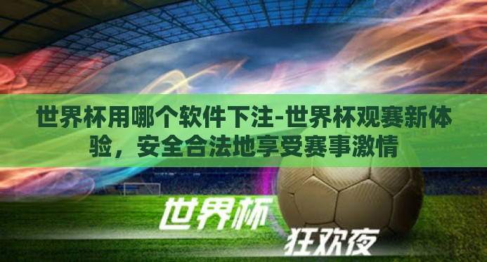 世界杯用哪个软件下注-世界杯观赛新体验，安全合法地享受赛事激情