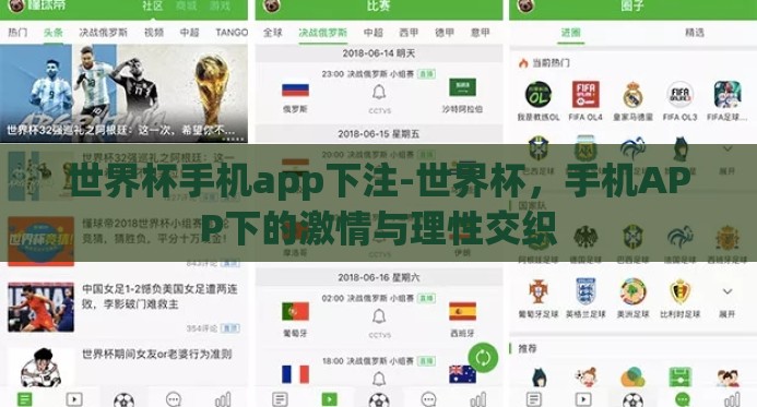 世界杯手机app下注-世界杯，手机APP下的激情与理性交织