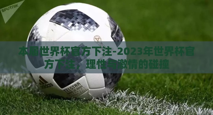 本届世界杯官方下注-2023年世界杯官方下注,理性与激情的碰撞 本届世界杯官方下注-2023年世界杯官方下注,理性与激情的碰撞