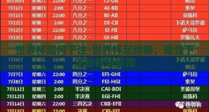 世界杯如何下注-世界杯足球赛，理性下注的智慧指南