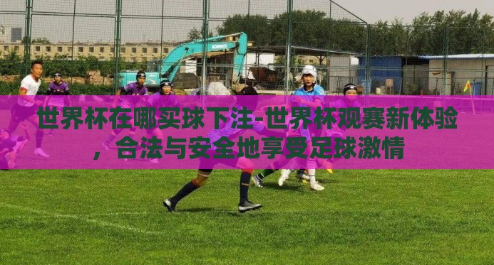 世界杯在哪买球下注-世界杯观赛新体验,合法与安全地享受足球激情 世界杯在哪买球下注-世界杯观赛新体验,合法与安全地享受足球激情