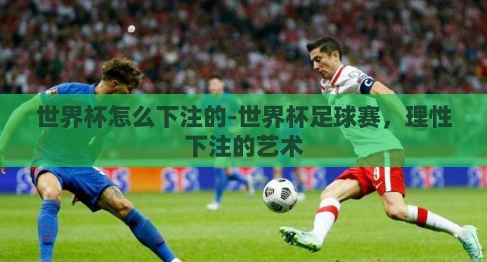 世界杯怎么下注的-世界杯足球赛,理性下注的艺术 世界杯怎么下注的-世界杯足球赛,理性下注的艺术