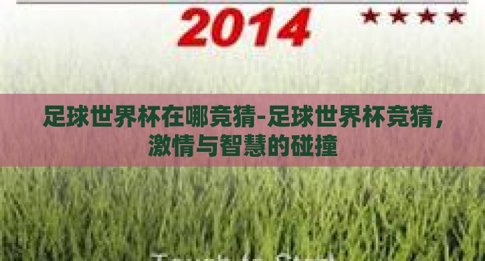 足球世界杯在哪竞猜-足球世界杯竞猜,激情与智慧的碰撞 足球世界杯在哪竞猜-足球世界杯竞猜,激情与智慧的碰撞