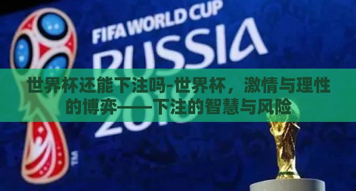 世界杯还能下注吗-世界杯，激情与理性的博弈——下注的智慧与风险