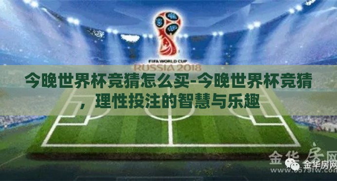 今晚世界杯竞猜怎么买-今晚世界杯竞猜，理性投注的智慧与乐趣