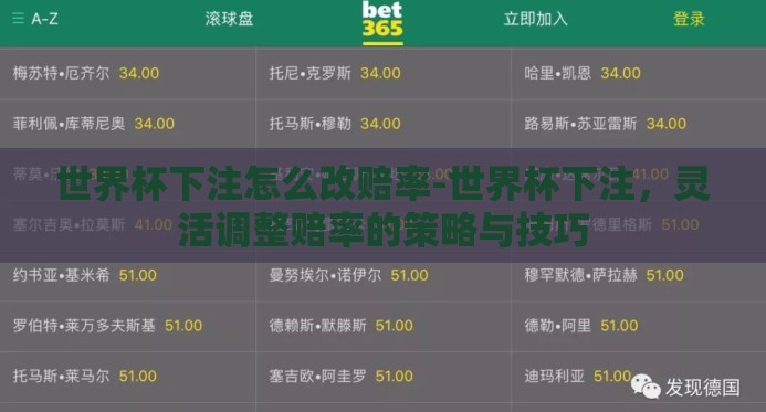 世界杯下注怎么改赔率-世界杯下注，灵活调整赔率的策略与技巧