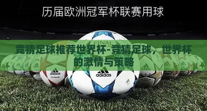 竞猜足球推荐世界杯-竞猜足球，世界杯的激情与策略