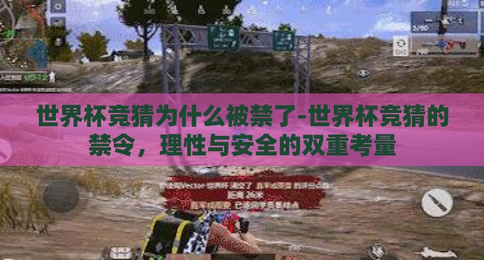 世界杯竞猜为什么被禁了-世界杯竞猜的禁令，理性与安全的双重考量
