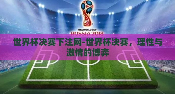 世界杯决赛下注网-世界杯决赛，理性与激情的博弈