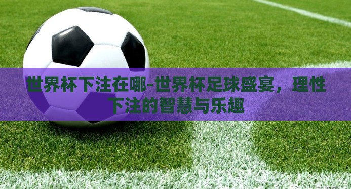 世界杯下注在哪-世界杯足球盛宴，理性下注的智慧与乐趣