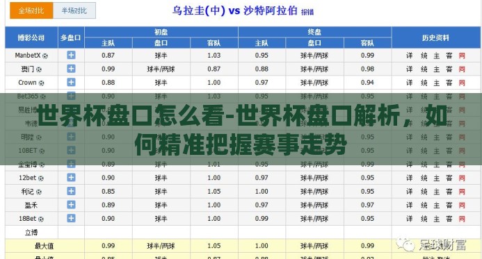 世界杯盘口怎么看-世界杯盘口解析，如何精准把握赛事走势