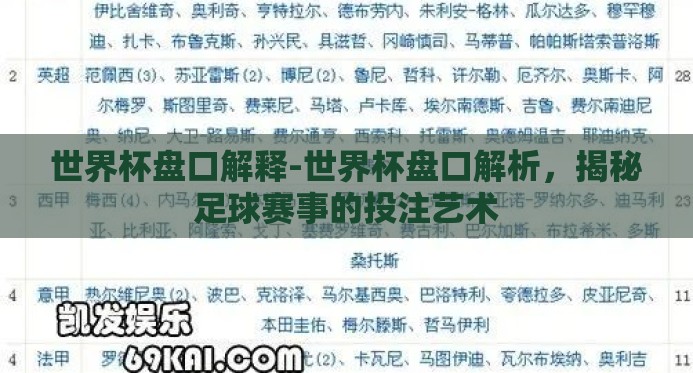 世界杯盘口解释-世界杯盘口解析，揭秘足球赛事的投注艺术