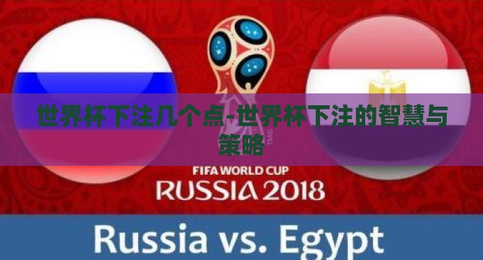 世界杯下注几个点-世界杯下注的智慧与策略