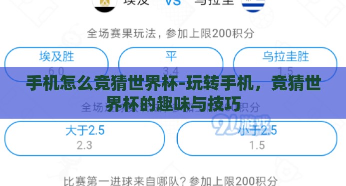 手机怎么竞猜世界杯-玩转手机，竞猜世界杯的趣味与技巧