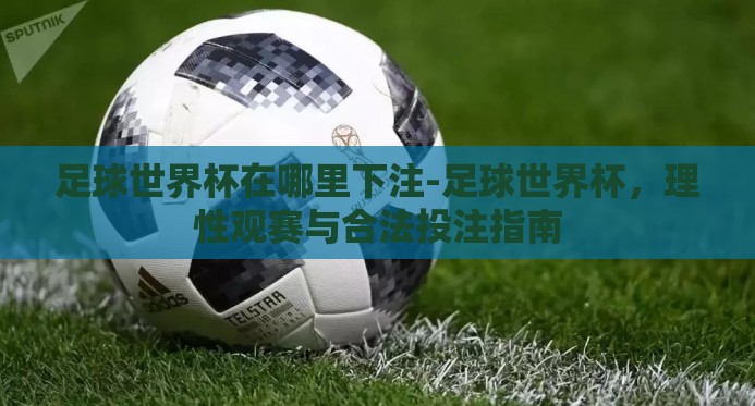 足球世界杯在哪里下注-足球世界杯，理性观赛与合法投注指南