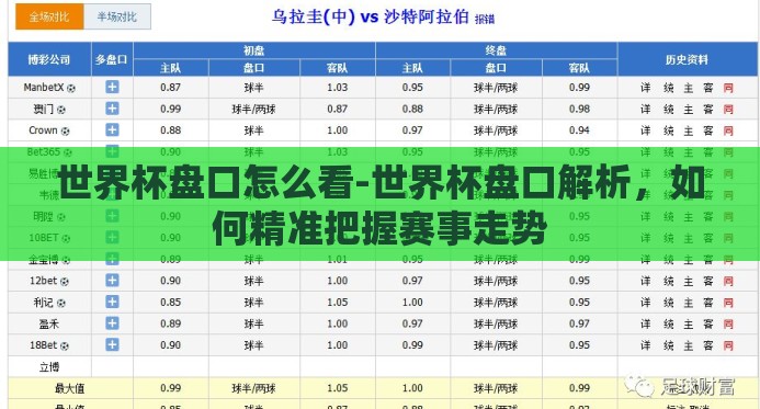 世界杯盘口怎么看-世界杯盘口解析，如何精准把握赛事走势