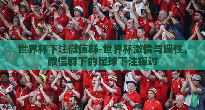 世界杯下注微信群-世界杯激情与理性，微信群下的足球下注探讨